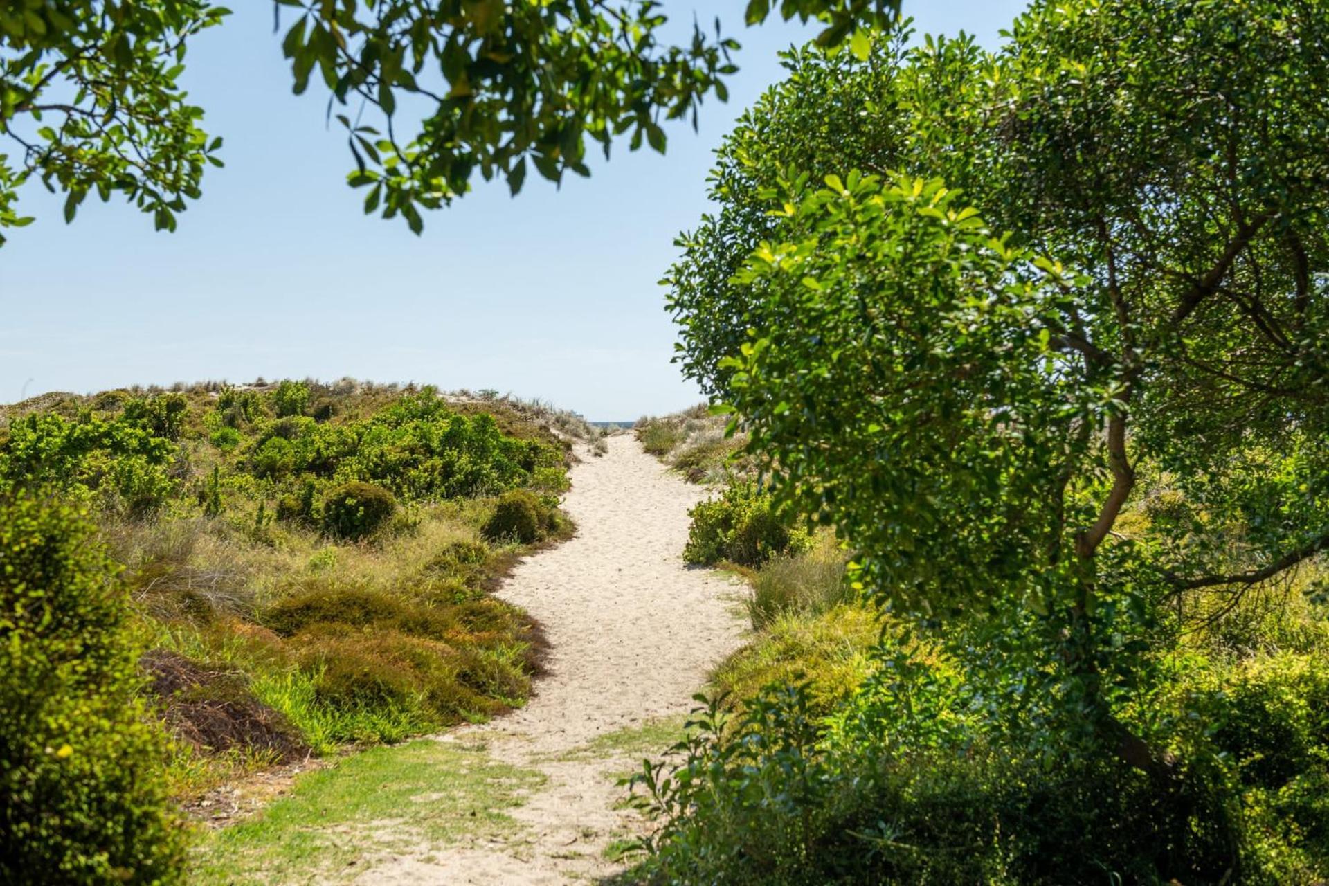 Ocean Beach Getaway Mount Maunganui Esterno foto